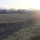 대산면913 이미지