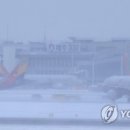 제주공항 이미지