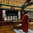 삼신스테이 | 경북 구미 도리사 템플스테이 휴식형 후기