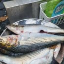 지수네민박 이미지