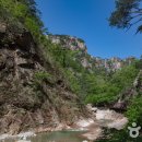 서면사무소(양양) 이미지