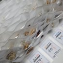 다온 합기도·주짓수 이미지