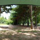 명가치킨 이미지