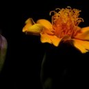 행복덩어리 이미지