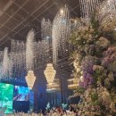 갈라 | 동촌 노비아갈라웨딩 5가지 솔직 후기