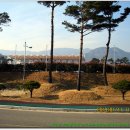 구례의길(남도이순신길) 이미지