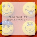 청결의집 네이버블로그