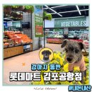 롯데마트 김포공항점 | 롯데몰 김포공항점 롯데마트 강아지동반 후기, 주차정보