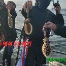피싱킹 이미지
