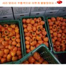 아름이농장 이미지