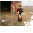 사구보세 이미지