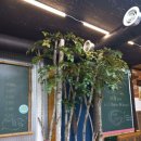 양지-2814 이미지