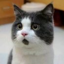 (사)더이음 이미지