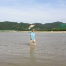 새천년생명의숲 이미지