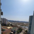 신방한라동백@ 2 이미지