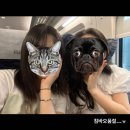 기원주 | 순간의 기억으로 평생을 살아가