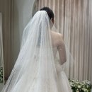 [W] 본식 드레스 피팅과 사전 메이크업 후기, 메리드메리