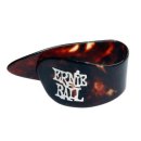 통기타 입문기 이미지