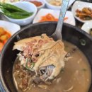 돌과나무 | 제주 제주시 맛집 돌나무가든 방문 후기