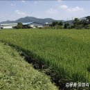 이루농장 이미지