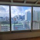 맑은수정약국 이미지