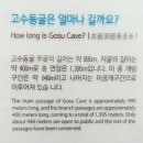 장다리 세탁 | &lt;어르신 나들이&gt; 1박 2일 단양 여행 - 도담삼봉, 고수동굴, 대명리조트단양, 장다리식당