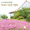 우리꽃식물원 이미지