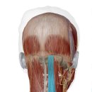 누리담한의원 이미지