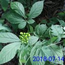 여름농장 이미지