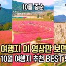 10월 여행지는 이곳만 알면 끝! 놓치면 후회할 10월 국내 여행 가을 추천 명소 BEST 5 이미지