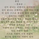 걷다보면 | 걷다보면 알게될지도 도서후기 전)남양주시부시장최현덕 에서 길위에 시인이된 도서