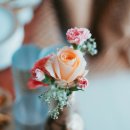 The Last Rose Of Summer /아일랜드 민요 이미지