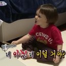 시부키