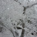 무등아래 이미지