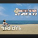 NR-6[경강로]-하-202 | 강릉 당일치기 뚜벅이 기차여행, 먹고 마시며 놀다오기