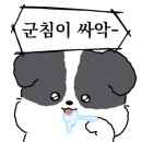 차가네김밥 이미지