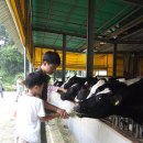 모산목장 이미지