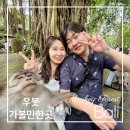 몽키유도클럽 | 발리 우붓 몽키포레스트 입장료 시간 셀카 입구 위치