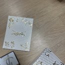 입생로랑틴트 여름뮤트 후기 (카카오톡선물받은 후기/ 솔직후기)