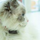 대경기술㈜ 이미지