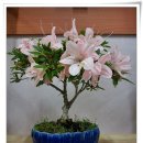 사랑식당 이미지