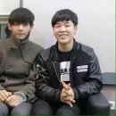 냥냥댕댕 이미지