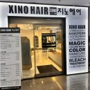 지노네일