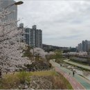 송산센트럴7단지공인중개사사무소 이미지