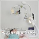 칸타빌레 베이비 뮤직(5~11개월) | 국민모빌 타이니러브 수더 앤 그루브 보호시크 모빌 신생아모빌 찐사용후기 활용방법