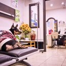 창생동물병원 이미지