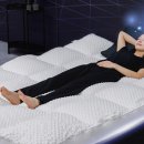 웜포레스트 이미지