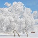 약손명가에스테틱대전 - 서구 동서대로 688 | 약손명가에스테틱대전