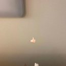 얼큰이네 | 대전 건강하고 맛있는 밥상 맛집 얼큰이네꽁당보리밥