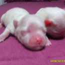 우리단비랑 이미지